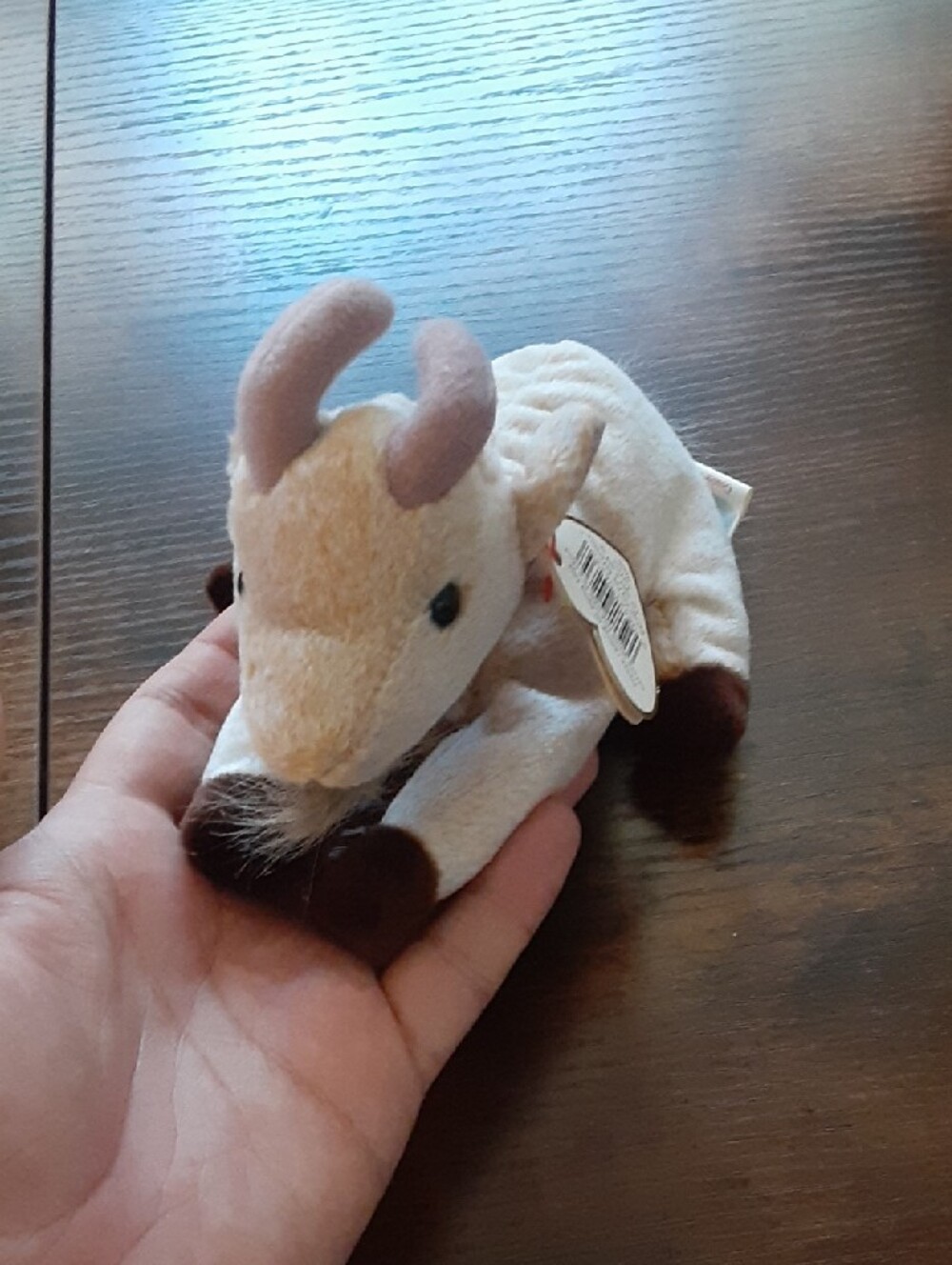 Pick one! Ty Plush Animals - Picture 12 of 14